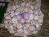 Sell chinese garlic