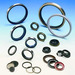 GASKETS and  SEALS
