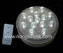 Submersible LED Light