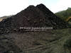 Indonesia Steam Coal GCV 5,000 Kcal/Kg (GAR) 