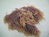 Dried Spinosum seaweed, eucheuma seaweed, caragenaan, agar agar.