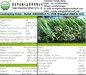 HACC Artificial Grass GW303813-74 for Leisure