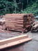 Vast forest lands' reforestation logs for sale in Central Africa