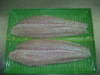 Frozen White meat pangasius fish