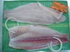 Frozen White meat pangasius fish