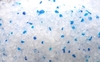 Silica Gel Cat Litter White 3%blue