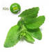 Stevia Extract Reb-A