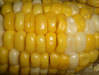 Yellow vs. White Corn, Crystal Beet White Sugar, Mini Rice, Wheat and Ba