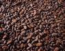 100% cacao tipo ccn-51 / 100% ccn-51 cocoa beans