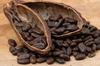 100% cacao tipo ccn-51 / 100% ccn-51 cocoa beans