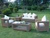 Rattan plastic