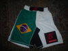 PhambraXcite Int CUSTOM MMA Flag Shorts