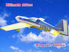 RC giant scale airplanes balsa Extra 330L 300cc