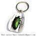 Insect keychain