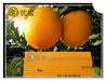 2012 fresh tasty navel orange