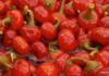 Cherry Peppers / Honey peppers