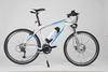 ELECTRIC BIKE AM209 Sporting (NEW) wholesale