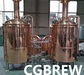 Beer brewing equipment for micro beer brewery
