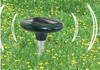 Solar powered mole repeller, solar mole chaser