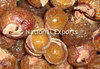 Organic Soap Nuts wholesale supply