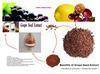 Grape seed extract--herb medicine