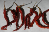 Indian dry red chilli