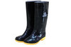 Rainboot