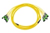 Mtp/Mpo Trunk Cable Assemblies