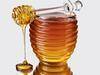 Kyrgyz honey for wholesale