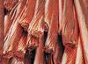 Want to sell: Copper Cathode