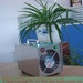 Room disinfection machine ozone generator