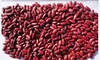Dalian Taewoo International Trade Co., Ltd: Seller of: adzuki beans, small red beans, cowpea, dark red kidney beans, green mung beans, light speckled kidney beans, pinto beans, soyabeans, white kidney beans. Buyer of: black eye beans, mung bean, light speckled kidney bean.