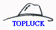 Ningbo Topluck Hats Manufacture Co., Ltd.