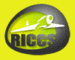 Riccs: Seller of: rc model aiplanes, rc planes, remot control set, mirage 2000, t-38, tb-20, busy bee, cessna t206, f4u.