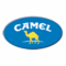 Camel Stone Exports Company