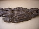 Chen-Fu-De: Seller of: agarwood chips, agarwood inscen, agarwood oil, consumer electronics, consultant develope investment. Buyer of: automobile parts, consumer electronics, paper handkerchief, solar power, paper tissue, paper machinery.