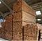 Volta Wood Ghana Limited: Regular Seller, Supplier of: furnitures, log, lumber, plywood, timber, wood, wood craft.