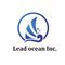 Lead Ocean Inc