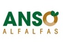 Alfalfas SAT Anso: Regular Seller, Supplier of: dehydrated alfalfa, granulated alfalfa, dry alfalfa bales, alfalfa pellets, alfalfa hay.