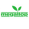 Ningbo Megallop Import & Export Co., Ltd.: Seller of: garden decors, garden tools, home decors, home organizations, household products, kitchen gadgets, kitchen utensils, kitchenware, outdoor accesories.