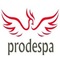 Spanish Food Prodespa: Regular Seller, Supplier of: body care, home clean, energy drink, hair care, clothing care, wines, fresheners home, refreshments, canned vegetables. Buyer, Regular Buyer of: juice concentrates, sunflower oil, natural soap.