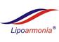 Lipoarmonia: Regular Seller, Supplier of: girdles, sportswear, lingerie, bras, weightloss, body shapers, fashion leggings.