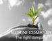 Morini Consulting Company