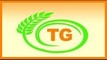 Trident Golden General Trading LLC: Seller of: chickpeas oats corn, wheat, wheat flour, coriander, pumpkinsunflower seeds, bran, press cake and extracted meal, millet, yellow mustard seeds.
