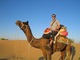 Rajasthan Tours - India: Regular Seller, Supplier of: splendid rajasthan tours, best rajasthan holiday, fascinating india trip, golden triangle with wildlife tour.