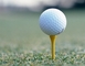 Shenzhen Crestgolf Supplier Co., Ltd.: Seller of: golf ball, golf tee, golf gift, golf.