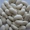 Waji International Ltd: Seller of: kidney beans, beans, red kidney beans.