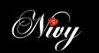 Nivy clothes Co., Ltd: Seller of: t-shirts, fabric, jeans, bags, belts.