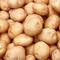 PotatoFarm: Seller of: potato. Buyer of: potato seeds.