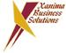 Xanima Business Solutions: Seller of: software, business plans, training, coaching, mentoring.